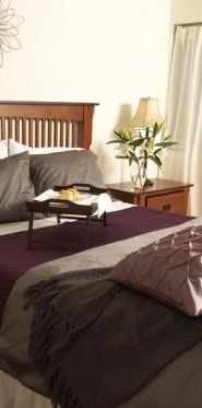 Appartement 1 chambre meublé à louer Pointe-Claire à Southwest One - Photo 1