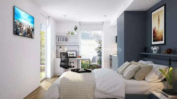 Large Standard Plus Studio - Photo 1