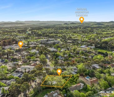 14 Gawler Crescent, Deakin ACT 2600 - House For Rent | Domain - Photo 5