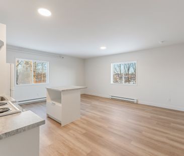 Incroyable Appartement 3 1/2 Sherbrooke - Photo 2