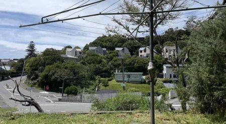 4-Bedroom Townhouse in Vogeltown - Photo 5