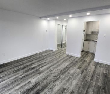 1 CH - 1 SDB - Montréal - $1,250 /mo - Photo 3