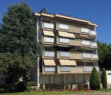 Appartement 1.5 pièces à Paudex - Photo 1