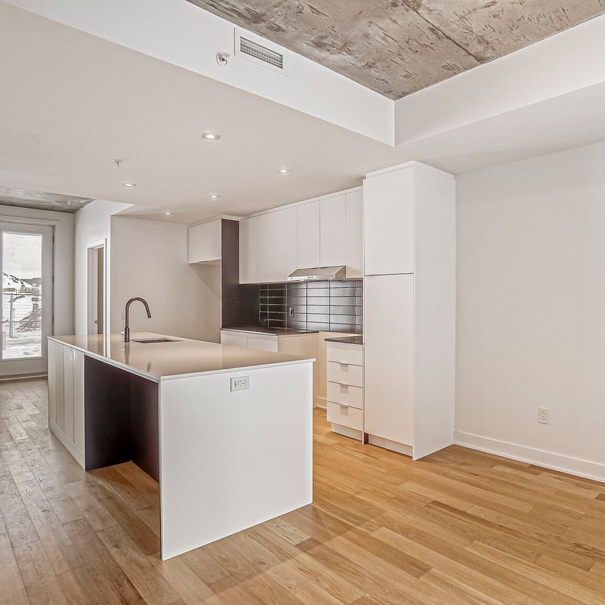 Condo for rent, Montréal (Rosemont/La Petite-Patrie) - Photo 1