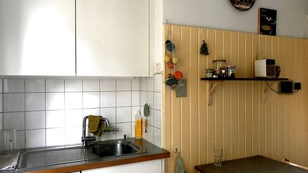 3½ Zimmer-Wohnung in Bern - Sandrain, möbliert, auf Zeit - Photo 5