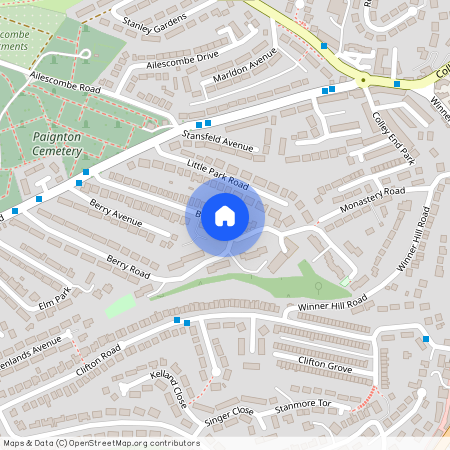 Berry Drive, Paignton, TQ3