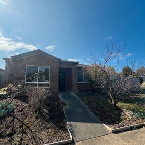 36 Hewat Drive, Highton - Photo 2