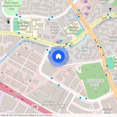 291C Bukit Batok Street 24 (652291), Singapore