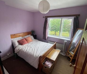 52 Fane Street, Belfast, BT9 7BW - Photo 5