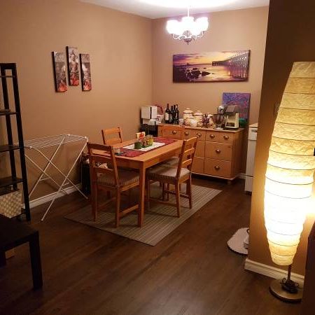 Big Bright One Bedroom in Pet Friendly Building - Photo 3