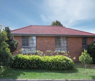 13 Ford Street, Ringwood VIC 3134 - House For Rent | Domain - Photo 6