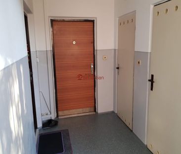 Pronájem bytu 2+kk 43 m² - Photo 1