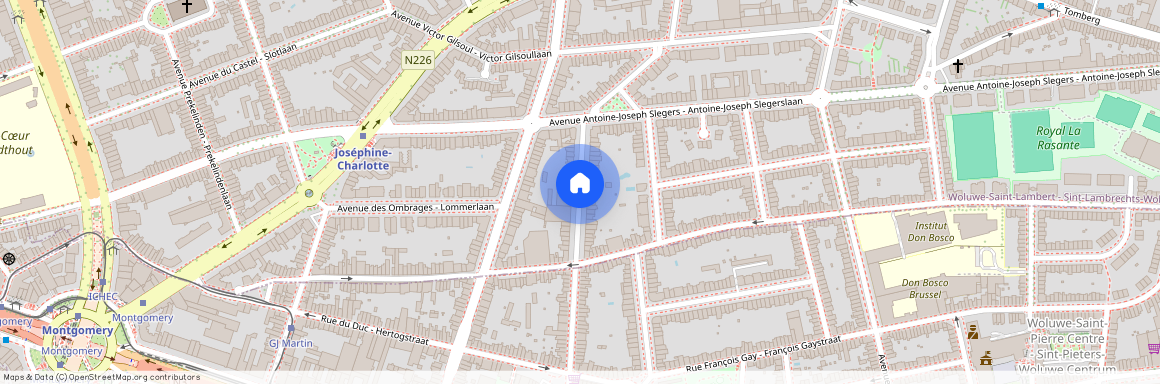 Avenue J.G. Van Goolen, 1200, Woluwe-Saint-Lambert