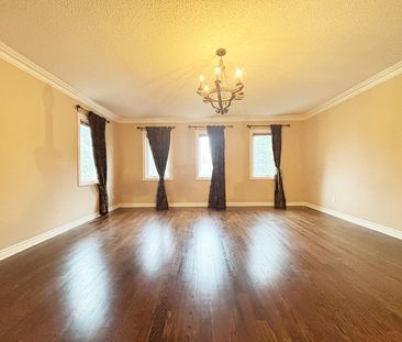 For Lease - 12A Ava Crescent, Richmond Hill, Ontario - Photo 3