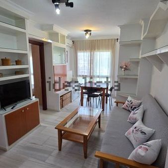 Alquiler de piso en Avenida de José Ortega y Gasset, 74 - Foto 1