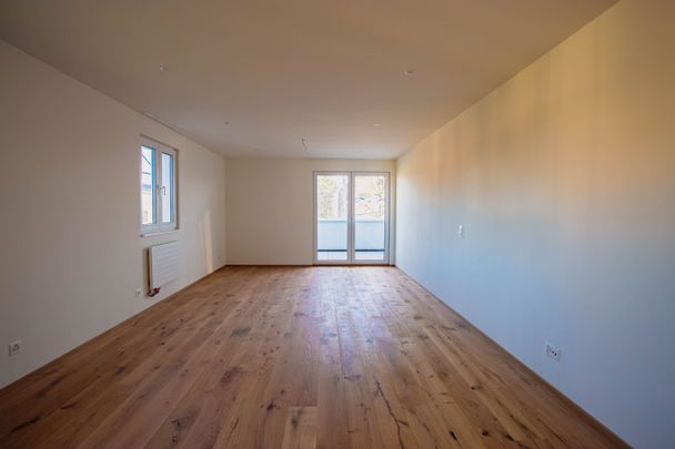 Neue 1.5-Zimmer-Loftwohnung im Dachgeschoss zu vermieten - Photo 1