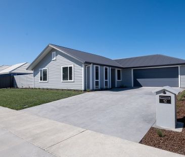 Modern Haven in Taradale - Photo 1