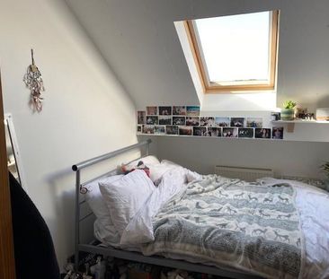 4 bedroom house share to rent - Photo 3