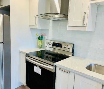 For Lease - 127 Anchusa Drive Unit# Lower, Richmond Hill, Ontario - Photo 2