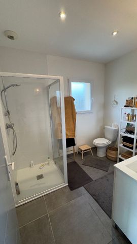 Haut de Lée / Idron, Superbe T4 esprit Loft face aux Pyrénées, vaste Terrasse, 3 chambres, parking couvert, - Photo 4