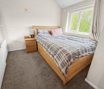1 bedroom House To Let - Photo 3
