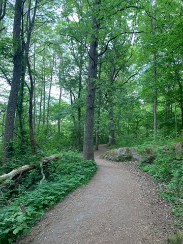 Bullerholmsgränd, Skärholmen - Photo 4