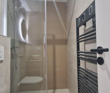 Location Appartement 1 pièce 20m² NICE 06000 - Photo 5