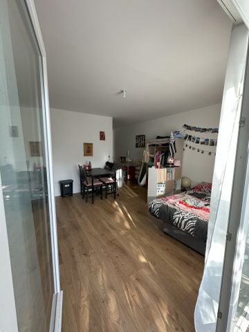 Louer appartement 1 pièce de 27 m² à Rennes (35000) - Photo 5