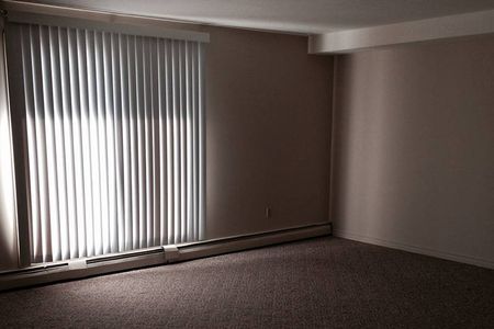 Blue Heron - Photo 3