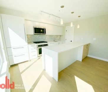 Bright & Open 1 Bedroom in Central Mount Pleasant - Photo 2