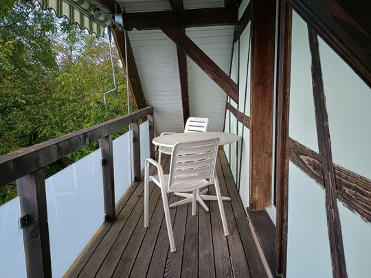 APPARTEMENT 1 PIÈCE À MATTSTETTEN (BE), MEUBLÉ, TEMPORAIRE - Photo 1