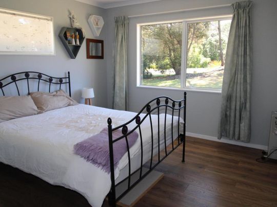 Beauty in the Pines - Photo 1