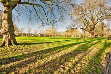 2 bedroom townhouse to rent - Photo 5