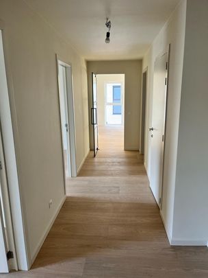 Luxueus nieuwbouw appartement met terras te Molenbeersel. - Foto 1