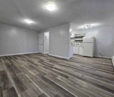 AMAZING FULLY RENO'D Apartment in Lacombe! CATS OK! - Photo 3