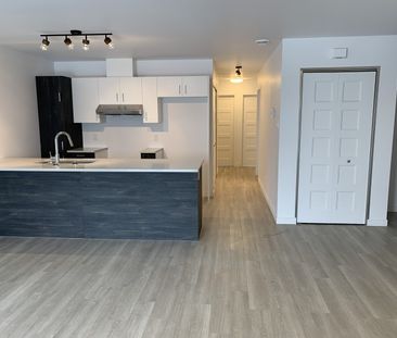 5½, 2351-206, rue Harold-Cooke, Sherbrooke, (Décembre) J1H 0M5 - Photo 3