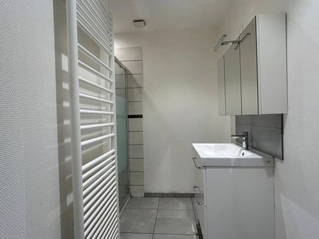 APPARTEMENT T3 RENOVE AVEC EXTERIEUR PARC SAINTE MARIE – THERMAL - Photo 5