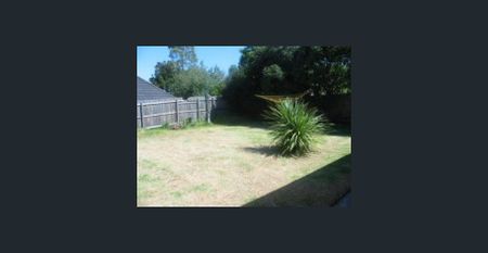 CLOSE TO EVERYTHING - Photo 3