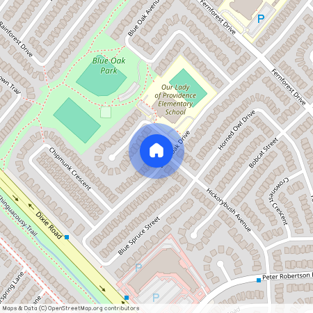 59 Black Oak Drive, Brampton