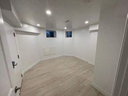 For Lease - 61 Cecil Street Unit# Lower, Toronto, Ontario - Photo 2