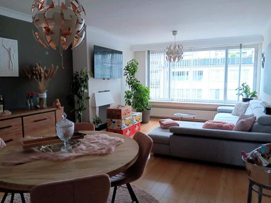 Appartement- Te Huur- Deurne- TH403 - Photo 1