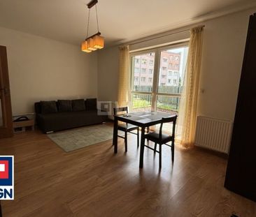 Mieszkanie na wynajem Szczecin - Na wynajem kawalerka z ogródkiem| ... - Zdjęcie 4