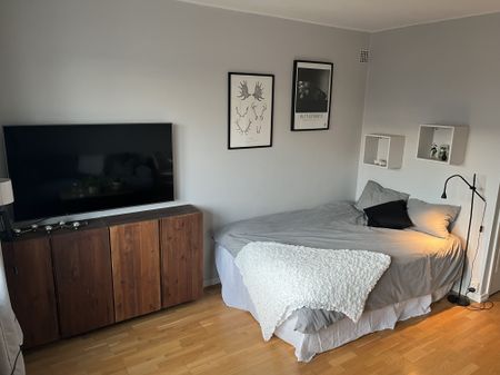 Vaksalagatan, Uppsala - Photo 4