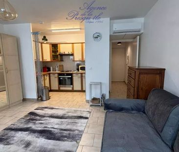 Location Appartement 1 pièce 31m² CARQUEIRANNE 83320 - Photo 3