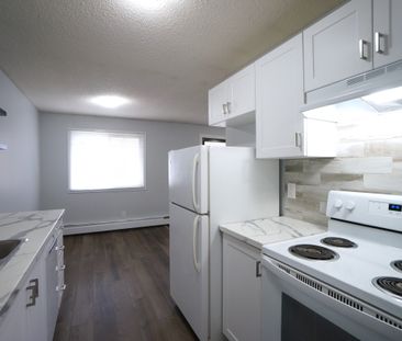 Modern and Spacious 2-Bedroom Apartment - SMALL PET FRIENDLY! - Photo 2