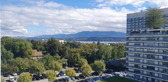 Appartement spacieux vue Lac et Parc - Foto 2