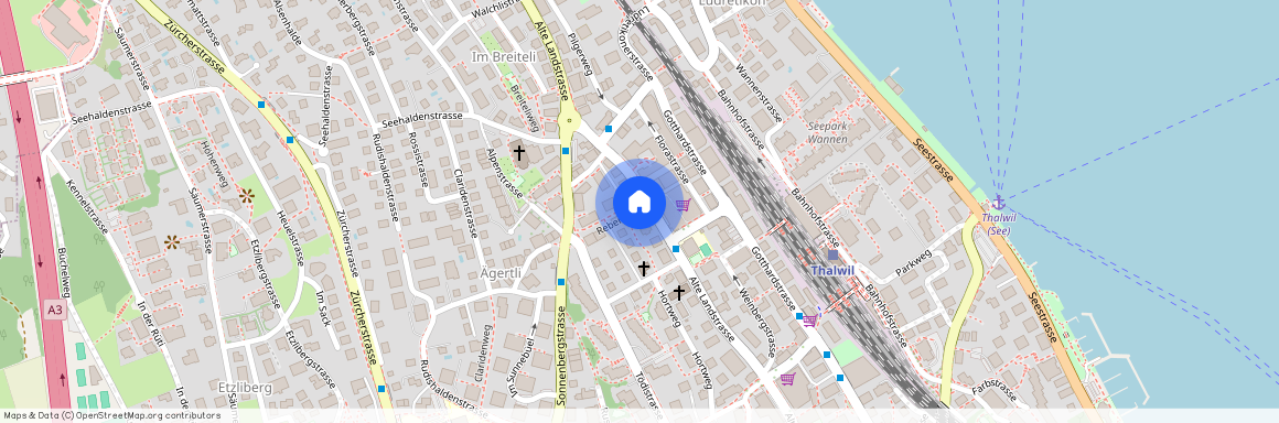 Alte Landstrasse 155, 8800 Thalwil