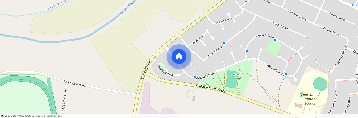 12 Wollombi Road, NSW 2333, Muswellbrook