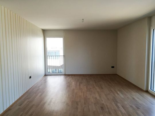 Rent a 2 ½ rooms apartment in Romanshorn - Foto 1