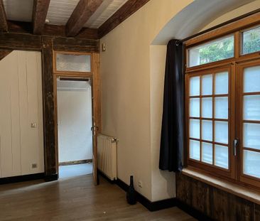 Location Appartement 2 pièces 52m² ANNECY 74000 - Photo 1